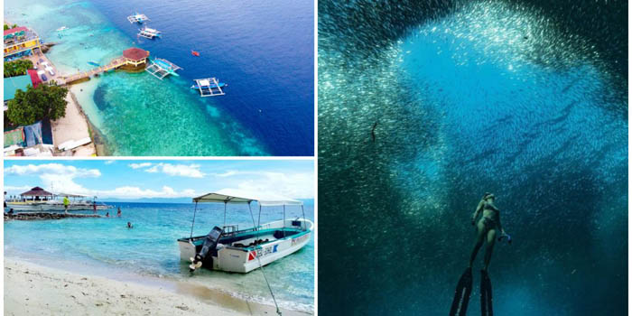 菲律宾游学期间周末如何去跳岛游？